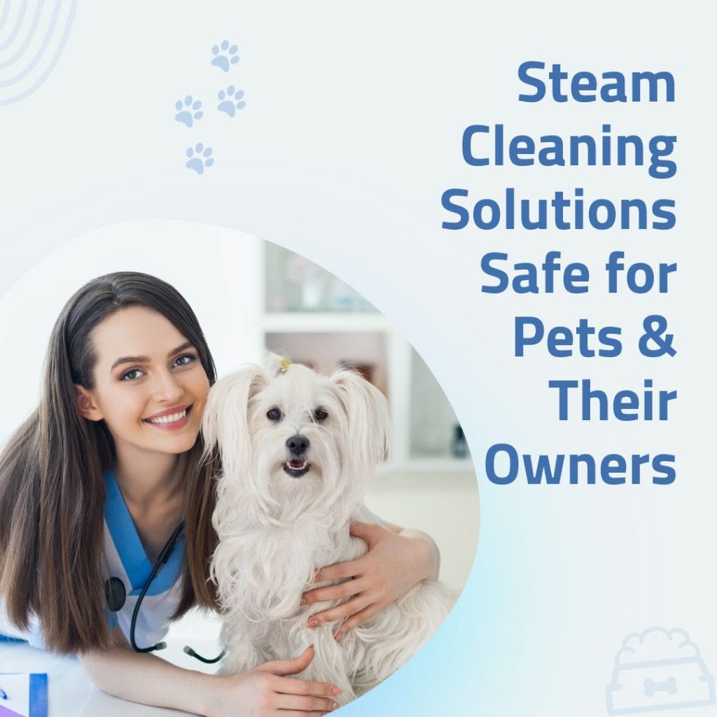 Steam Cleaning Solutions for Pets